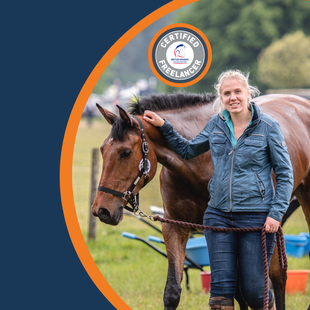 Freelance Groom Insurance and online tools British Grooms Association